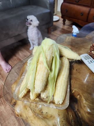 kis님의 O학년 △반 이세요? · 참여글 작성글 사진