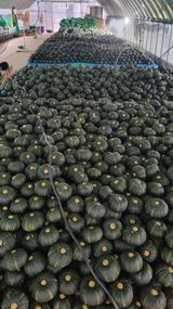 팜모닝 O학년 △반 이세요?·참여글 게시글 이미지