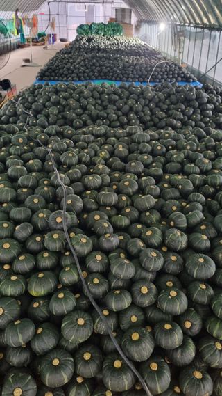 곽행남님의 O학년 △반 이세요? · 참여글 작성글 사진