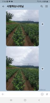 팜모닝 자유주제·자유게시판 게시글 이미지