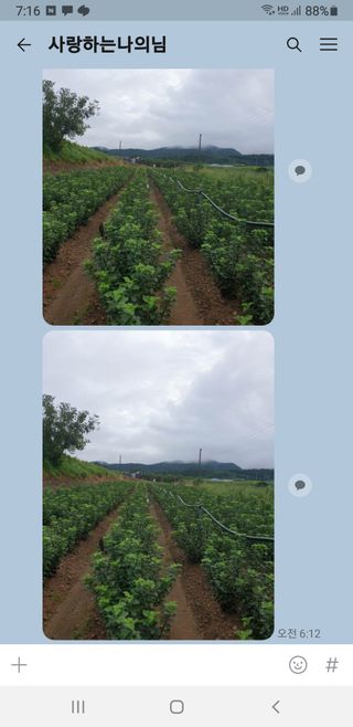 김화순님의 자유주제 · 자유게시판 작성글 사진