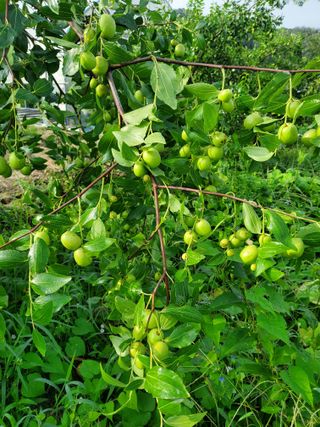 휘성님의 O학년 △반 이세요? · 참여글 작성글 사진