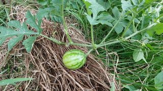 자경님의 O학년 △반 이세요? · 참여글 작성글 사진