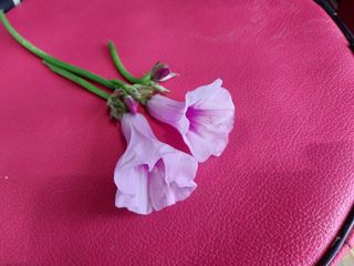 김수길님의 O학년 △반 이세요? · 참여글 작성글 사진