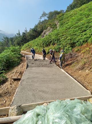 팜모닝회원 정정섭 님의 두릅 · 영농일지 작성글 사진