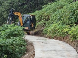팜모닝회원 정정섭 님의 두릅 · 영농일지 작성글 사진
