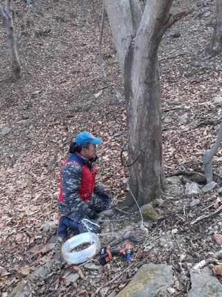 윤채열님의 O학년 △반 이세요? · 참여글 작성글 사진
