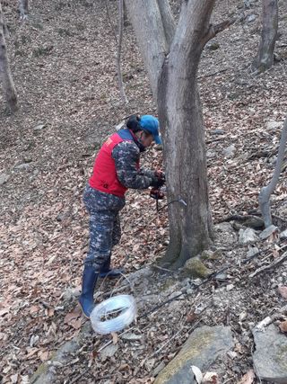 윤채열님의 O학년 △반 이세요? · 참여글 작성글 사진