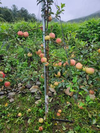 박영석님의 O학년 △반 이세요? · 참여글 작성글 사진