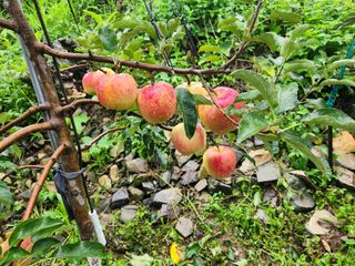 박영석님의 O학년 △반 이세요? · 참여글 작성글 사진