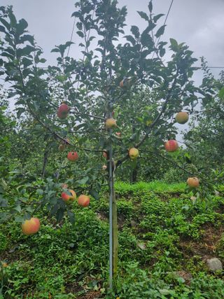 박영석님의 O학년 △반 이세요? · 참여글 작성글 사진