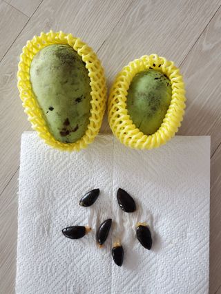 김나영 (천일염소금님의 자유주제 · 자유게시판 작성글 사진