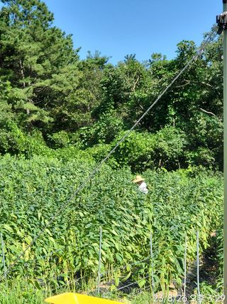 정병무님의 O학년 △반 이세요? · 참여글 작성글 사진