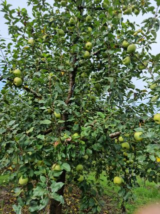 김현정님의 O학년 △반 이세요? · 참여글 작성글 사진