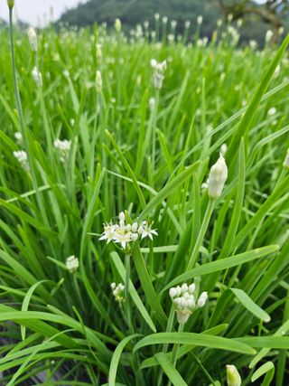 김원국님의 O학년 △반 이세요? · 참여글 작성글 사진