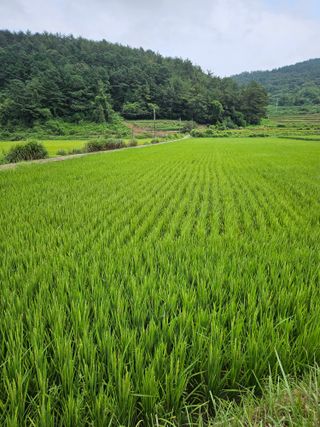 김원국님의 O학년 △반 이세요? · 참여글 작성글 사진