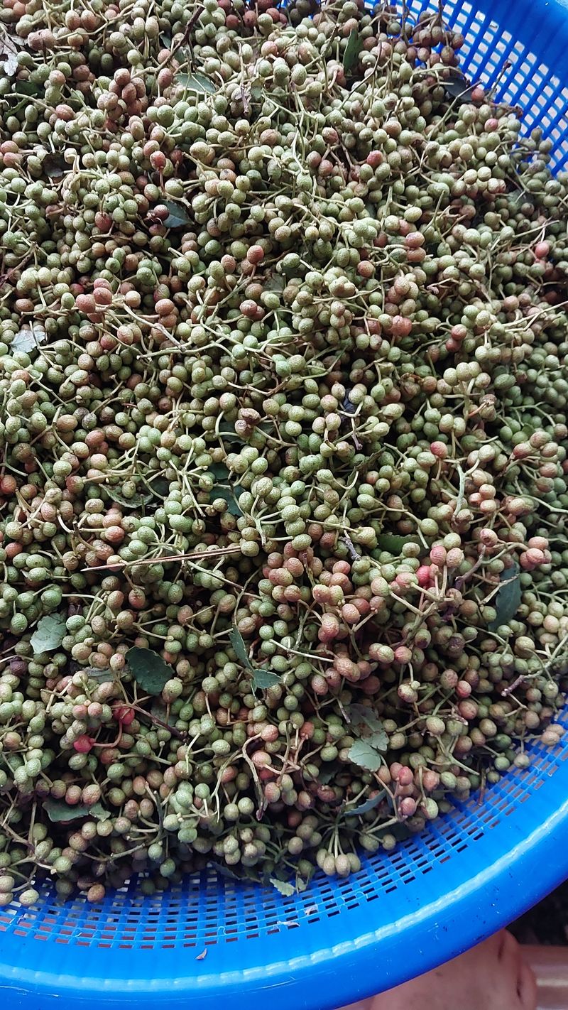 장터 상품 [생재피1키로] 썸네일