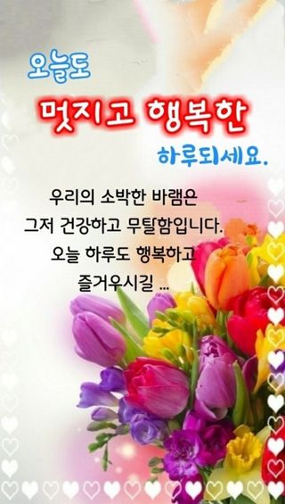 알 수 없음님의 양파 · 자유게시판 작성글 사진