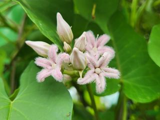 들꽃농장님의 자유주제 · 자유게시판 작성글 사진