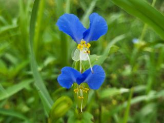 들꽃농장님의 자유주제 · 자유게시판 작성글 사진