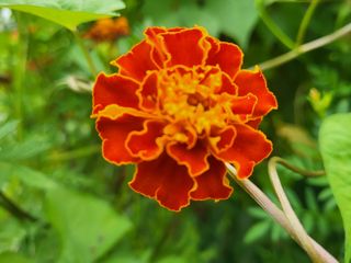 들꽃농장님의 자유주제 · 자유게시판 작성글 사진