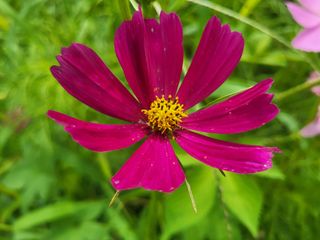 들꽃농장님의 자유주제 · 자유게시판 작성글 사진