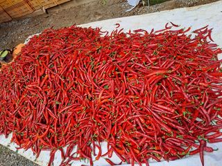 알 수 없음님의 작성글 사진