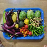 팜모닝 O학년 △반 이세요?·참여글 게시글 이미지