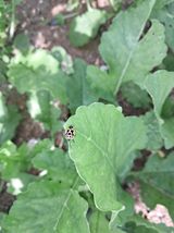 팜모닝 자유주제·자유게시판 게시글 이미지