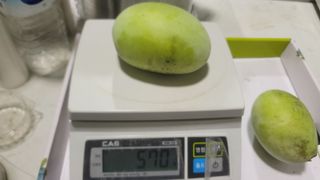 나산 블루베리농원님의 자유주제 · 자유게시판 작성글 사진