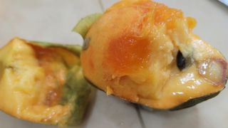 나산 블루베리농원님의 자유주제 · 자유게시판 작성글 사진