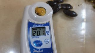 나산 블루베리농원님의 자유주제 · 자유게시판 작성글 사진