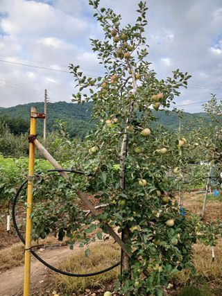 알 수 없음님의 우리동네 · 동네수다 작성글 사진