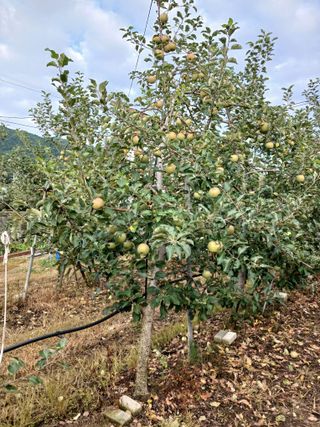 알 수 없음님의 우리동네 · 동네수다 작성글 사진