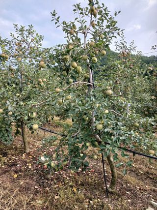 알 수 없음님의 우리동네 · 동네수다 작성글 사진