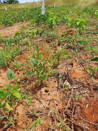 고사리9794님의 O학년 △반 이세요? · 참여글 작성글 사진