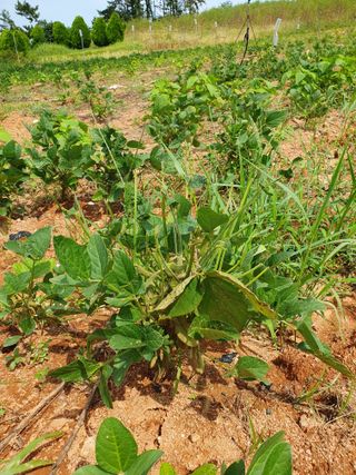 고사리9794님의 O학년 △반 이세요? · 참여글 작성글 사진