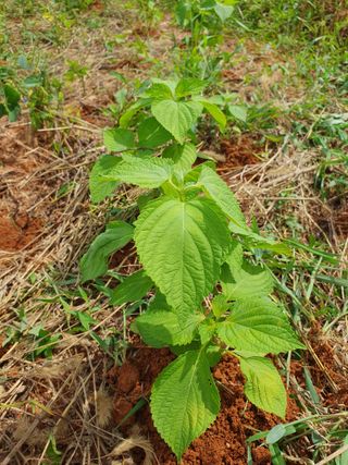 고사리9794님의 O학년 △반 이세요? · 참여글 작성글 사진