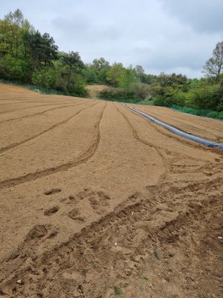 이완구님의 O학년 △반 이세요? · 참여글 작성글 사진