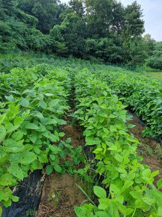 이완구님의 O학년 △반 이세요? · 참여글 작성글 사진