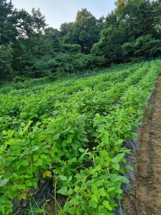 이완구님의 O학년 △반 이세요? · 참여글 작성글 사진