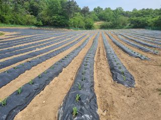 이완구님의 O학년 △반 이세요? · 참여글 작성글 사진
