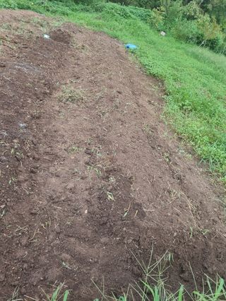 구평쿠키요정님의 고추 · 영농일지 작성글 사진