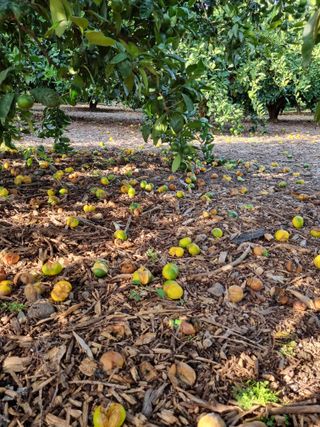 박종례님의 자유주제 · 자유게시판 작성글 사진