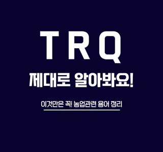 세계평화랑님의 귤 · 일상 작성글 사진