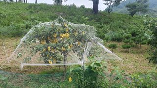 인생은 소풍처럼님의 배 · 자연재해•동물피해 작성글 사진