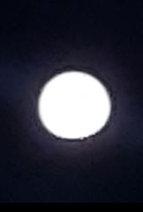 팜모닝 자유주제·자유게시판 게시글 이미지