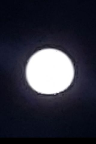 둥이농장(김준태)님의 자유주제 · 자유게시판 작성글 사진