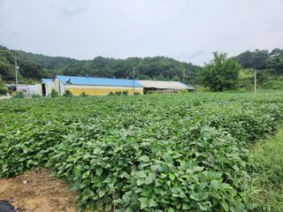 HYUN님의 O학년 △반 이세요? · 참여글 작성글 사진