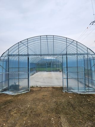 HYUN님의 O학년 △반 이세요? · 참여글 작성글 사진